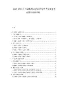 2025-2030電子存儲芯片讀寫速度提升存儲密度優化算法開發課題