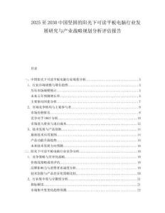 2025至2030中國堅固的陽光下可讀平板電腦行業發展研究與產業戰略規劃分析評估報告