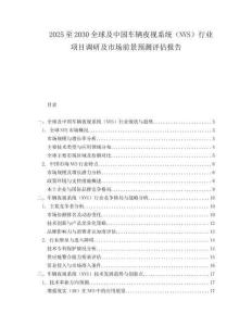 2025至2030全球及中國車輛夜視系統（NVS）行業項目調研及市場前景預測評估報告