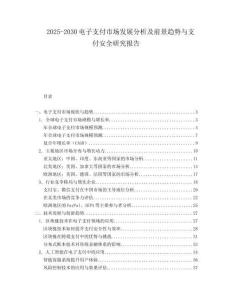 2025-2030電子支付市場發展分析及前景趨勢與支付安全研究報告