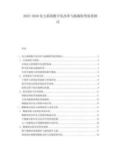 2025-2030电力系统数字化改革与能源转型前景探讨