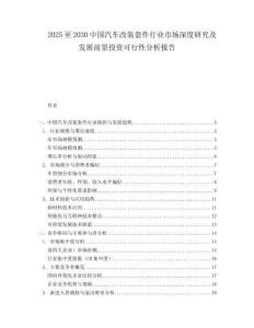 2025至2030中國汽車改裝套件行業市場深度研究及發展前景投資可行性分析報告
