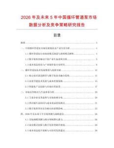 2026年及未來5年中國循環管道泵市場數據分析及競爭策略研究報告