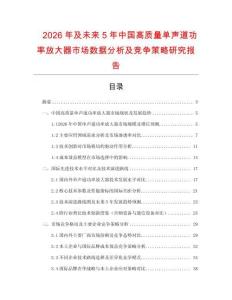 2026年及未來5年中國高質(zhì)量單聲道功率放大器市場(chǎng)數(shù)據(jù)分析及競(jìng)爭(zhēng)策略研究報(bào)告