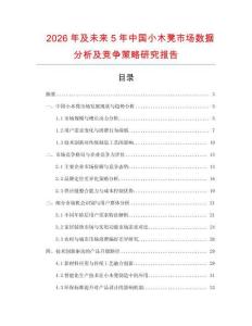 2026年及未來5年中國小木凳市場數據分析及競爭策略研究報告