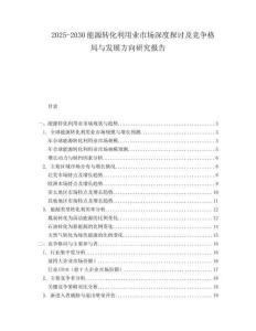 2025-2030能源转化利用业市场深度探讨及竞争格局与发展方向研究报告