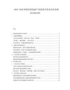 2025-2030青海高原旅游產(chǎn)業(yè)現(xiàn)狀開發(fā)布局競爭格局市場分析