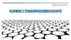 毛皮鞣制工藝能耗降低的國際比較研究