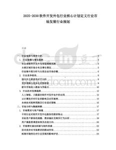 2025-2030軟件開發(fā)外包行業(yè)核心計劃定義行業(yè)市場發(fā)展行業(yè)規(guī)劃