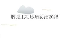 胸腹主动脉瘤总结2026