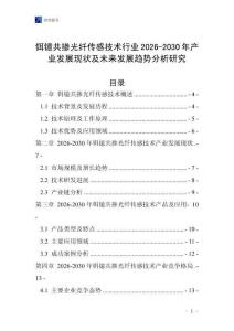 鉺鐿共摻光纖傳感技術(shù)行業(yè)2026-2030年產(chǎn)業(yè)發(fā)展現(xiàn)狀及未來發(fā)展趨勢分析研究
