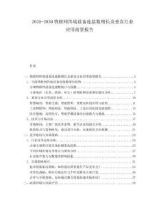 2025-2030物聯(lián)網(wǎng)終端設(shè)備連接數(shù)增長(zhǎng)及垂直行業(yè)應(yīng)用前景報(bào)告