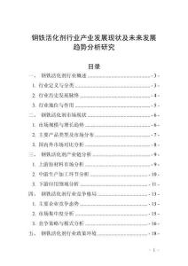 鋼鐵活化劑行業產業發展現狀及未來發展趨勢分析研究