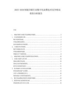 2025-2030制版印刷行业数字化油墨技术竞争格局投资分析报告