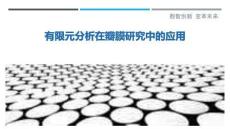 有限元分析在瓣膜研究中的應(yīng)用