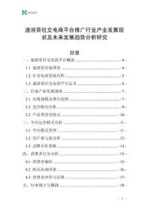 速溶茶社交電商平臺(tái)推廣行業(yè)產(chǎn)業(yè)發(fā)展現(xiàn)狀及未來發(fā)展趨勢(shì)分析研究