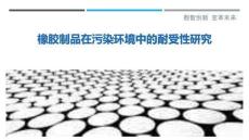 橡膠制品在污染環(huán)境中的耐受性研究