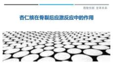 杏仁核在骨裂后應(yīng)激反應(yīng)中的作用