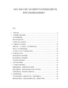 2025-2030中国工业互联网平台应用现状及数字化转型与商业模式创新报告