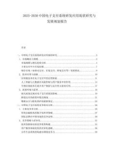 2025-2030中國電子支付系統研發應用現狀研究與發展規劃報告