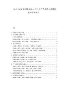 2025-2030中國電接觸材料行業廣告投放與品牌影響力分析報告