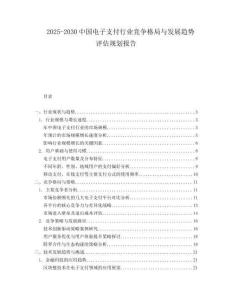 2025-2030中國電子支付行業競爭格局與發展趨勢評估規劃報告