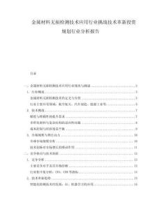 金屬材料無損檢測技術應用行業(yè)挑戰(zhàn)技術革新投資規(guī)劃行業(yè)分析報告