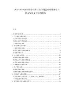 2025-2030汽車維修保養(yǎng)行業(yè)市場(chǎng)需求現(xiàn)場(chǎng)評(píng)估與資金發(fā)展策劃詳細(xì)報(bào)告