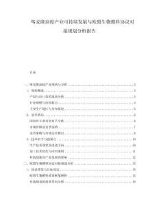 喀麥隆油棕產(chǎn)業(yè)可持續(xù)發(fā)展與歐盟生物燃料協(xié)議對接規(guī)劃分析報告