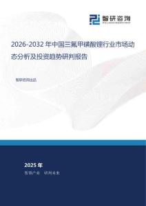 2026-2032年中國三氟甲磺酸鋰行業市場動態分析及投資趨勢研判報告