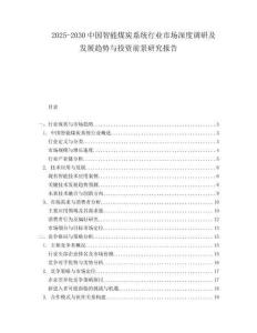 2025-2030中國智能煤炭系統行業市場深度調研及發展趨勢與投資前景研究報告