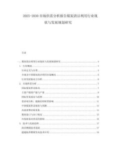 2025-2030市場供需分析報告煤炭清潔利用行業現狀與發展規劃研究