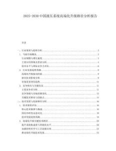 2025-2030中國液壓系統高端化升級路徑分析報告
