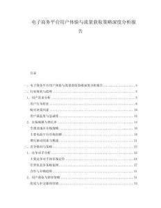 電子商務平臺用戶體驗與流量獲取策略深度分析報告