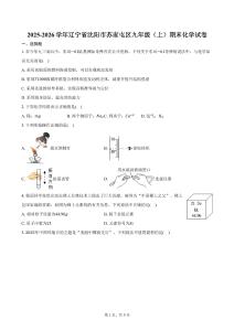 2025-2026學年遼寧省沈陽市蘇家屯區(qū)九年級（上）期末化學試卷（含答案）
