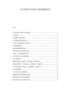 電子商務平臺競爭與發展策略研究
