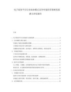 電子商務平臺行業商業模式競爭環境經營策略發展潛力評估報告