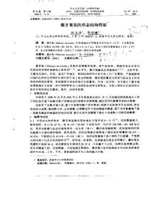 拍拖超过两年的杨千嬅与丁子高被