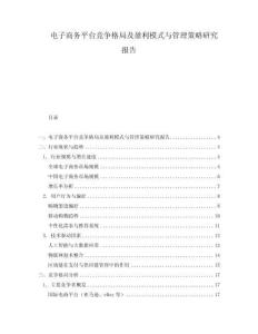 電子商務平臺競爭格局及盈利模式與管理策略研究報告