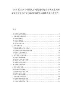 2025至2030中國嬰兒多功能背帶行業市場深度調研及發展前景與行業市場深度研究與戰略咨詢分析報告