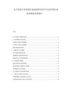 電子商務(wù)行業(yè)消費(fèi)生態(tài)深度研究及平臺競爭和行業(yè)前景規(guī)劃分析報(bào)告