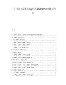 電子商務(wù)領(lǐng)域市場深度解析及發(fā)展趨勢研究分析報(bào)告
