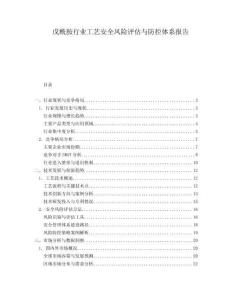 戊酰胺行業(yè)工藝安全風險評估與防控體系報告