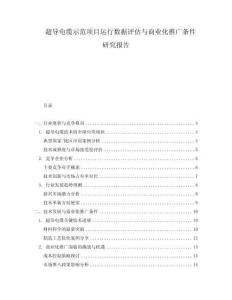 超導(dǎo)電纜示范項(xiàng)目運(yùn)行數(shù)據(jù)評(píng)估與商業(yè)化推廣條件研究報(bào)告