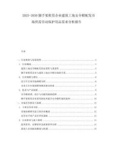 2025-2030腳手架租賃企業(yè)建筑工地安全帽配發(fā)市場(chǎng)供需勞動(dòng)保護(hù)用品需求分析報(bào)告