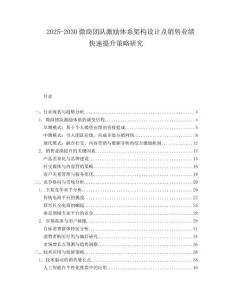 2025-2030微商團隊激勵體系架構設計及銷售業績快速提升策略研究