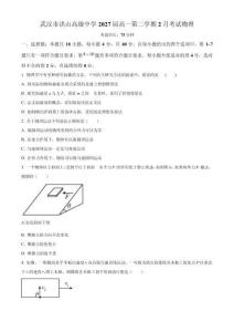 精品解析：湖北省武漢市洪山高級中學(xué)2024-2025學(xué)年高一下學(xué)期2月考試物理試卷（原卷版）