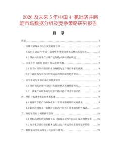 2026及未來5年中國4-氯吡咯并嘧啶市場數(shù)據(jù)分析及競爭策略研究報(bào)告