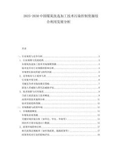 2025-2030中國煤炭洗選加工技術污染控制資源綜合利用發展分析