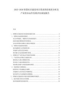 2025-2030智慧社區建設項目需求供給現狀分析及產業資本運作發展評估規劃報告